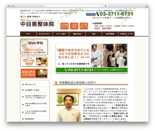 WP theme responsive_046 - www.nakameguro-seitai.jp