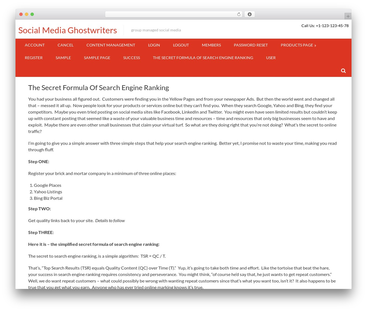 Accesspress Basic free WordPress theme - socialmediaghostwriters.com