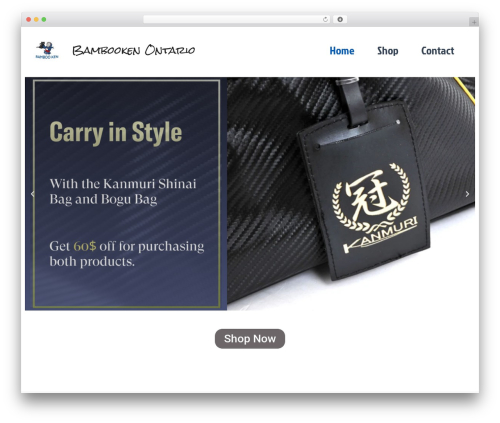 Borderless – Widgets, Elements, Templates and Toolkit for Elementor & Gutenberg (borderless) free WordPress plugin - bambooken.com