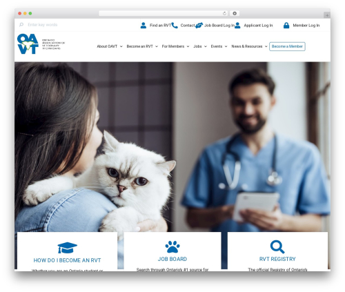 Best WordPress theme Hello Elementor - oavt.org