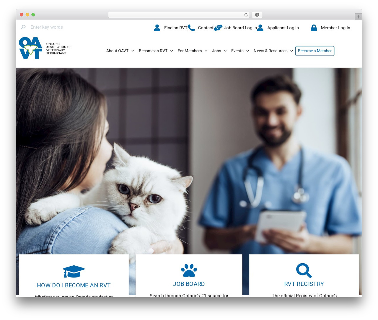 Best WordPress theme Hello Elementor Child - oavt.org Best WordPress theme Hello Elementor Child - oavt.org