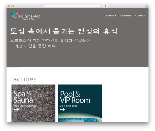 Cluster WordPress theme - skyland7.com