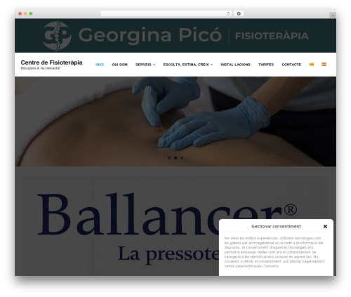 Shuttle WordPress theme - fisioterapiagp.com