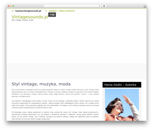 Zeroerror Lite WP theme - vintagesounds.pl