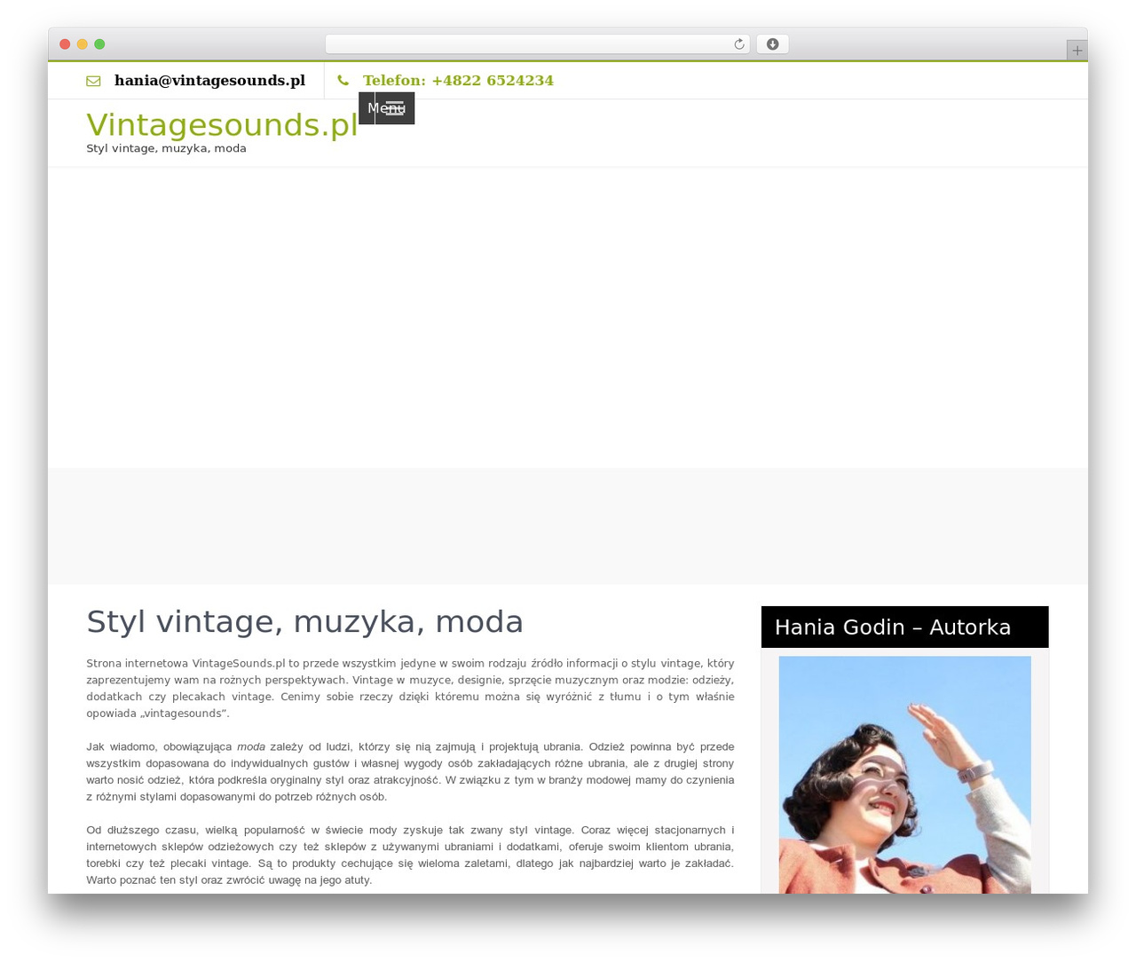 Zeroerror Lite WP theme - vintagesounds.pl