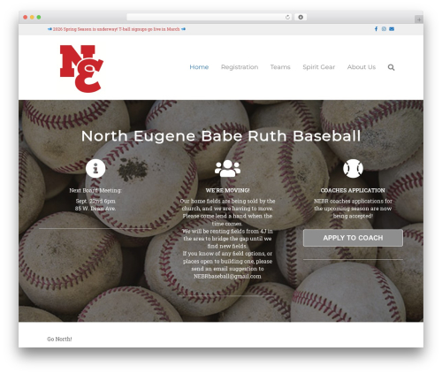 Tswp WordPress plugin - northeugenebaberuth.com