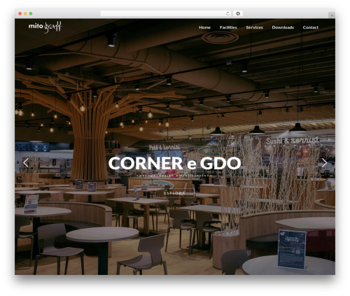 Bridge WordPress theme - mitograff.it
