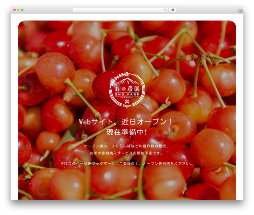 エステティックサロンEmilly WordPress theme - onofarm-nishine.com