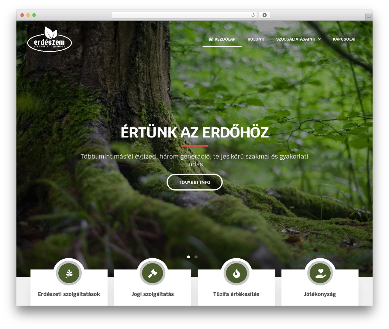 Theme WordPress ASSEMBLY THEME (responsive) - erdeszem.hu