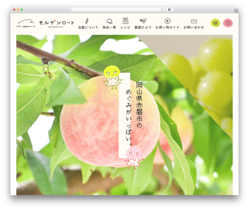 Etheme WordPress theme - morgenrot-fruits.com