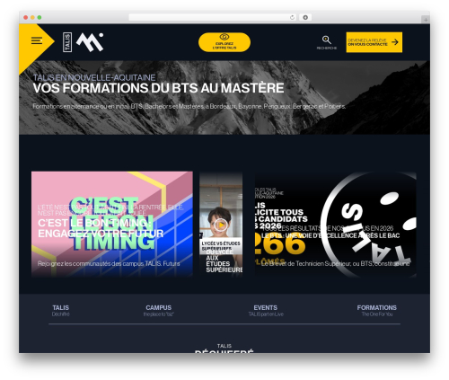 WordPress theme Adaka theme - www.talis.community
