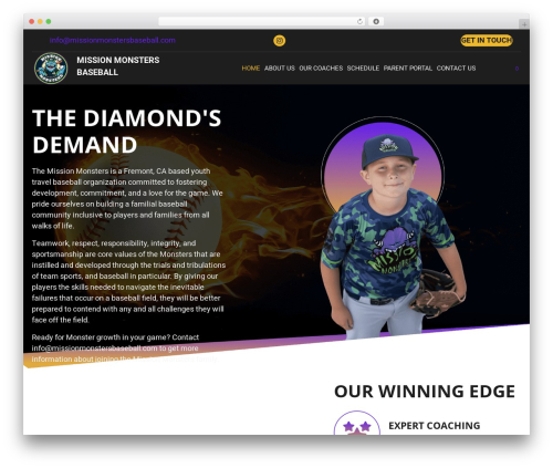 E signature WordPress plugin - missionmonstersbaseball.com