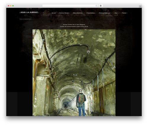 WordPress theme Modularity Lite - souslasurface.fr