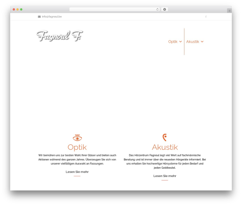 WP theme Optometry - fagnoul.be