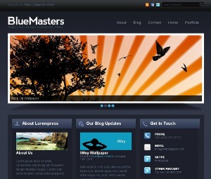 Bluemasters theme WordPress Bluemasters theme WordPress