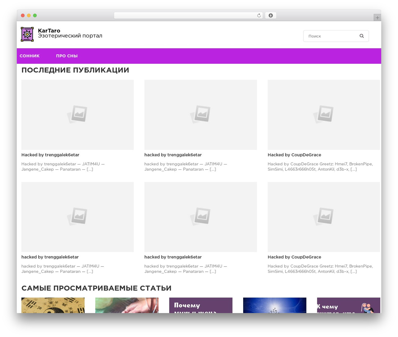 constructor theme WordPress - kartaro.top constructor theme WordPress - kartaro.top