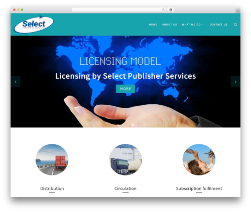 Customizr premium WordPress theme - selectps.co.uk