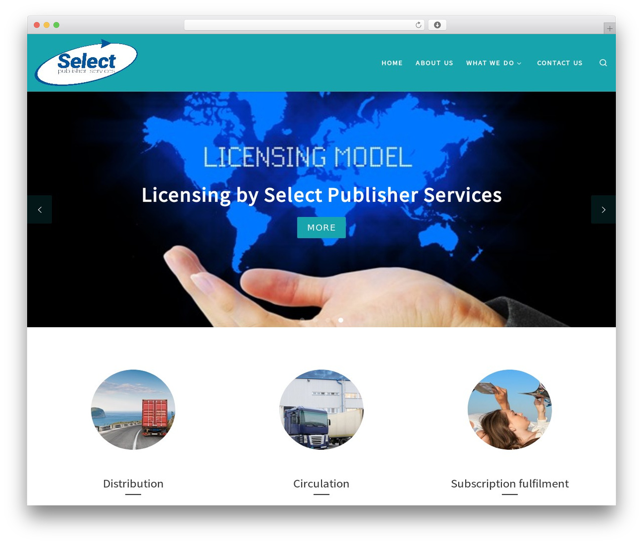 Customizr premium WordPress theme - selectps.co.uk