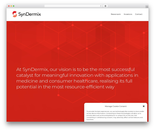 Dani WP theme - syndermix.ch
