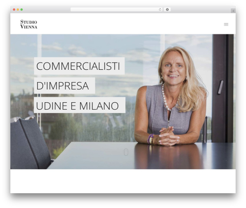 Definity theme WordPress - studiovienna.it