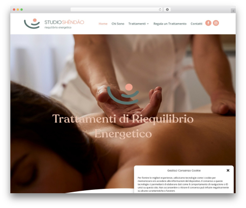 Divi WordPress website theme - www.studioshendao.it