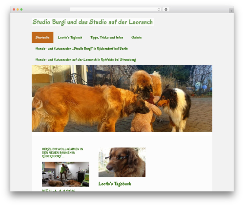 Full screen background WordPress plugin - studio-burgi.de