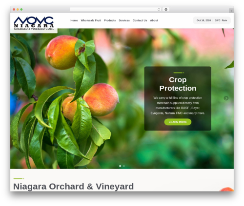 Future Access - Starter Theme theme WordPress - niagaraorchard.com