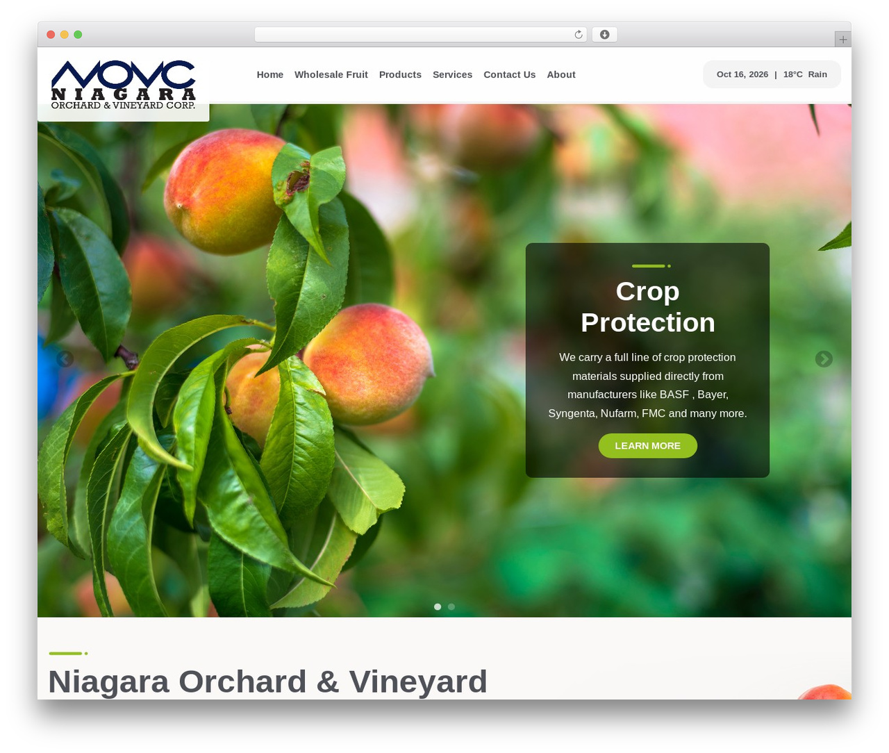 Future Access - Starter Theme theme WordPress - niagaraorchard.com Future Access - Starter Theme theme WordPress - niagaraorchard.com