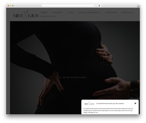 Style cloud WordPress plugin - mintandkids.com