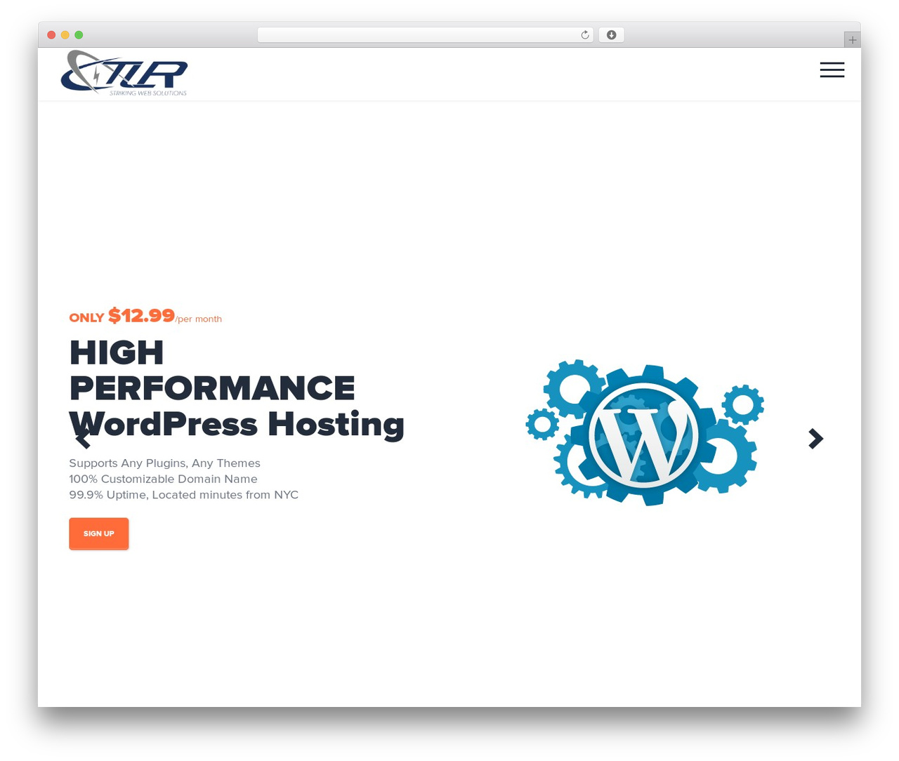 NRGhost WordPress theme - strikingwebsolutions.co