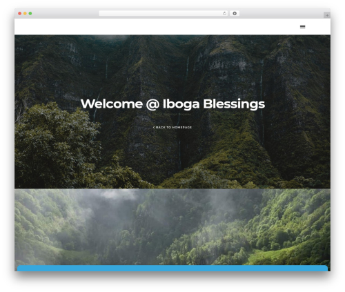 Revolution_slider WordPress plugin - ibogablessings.com