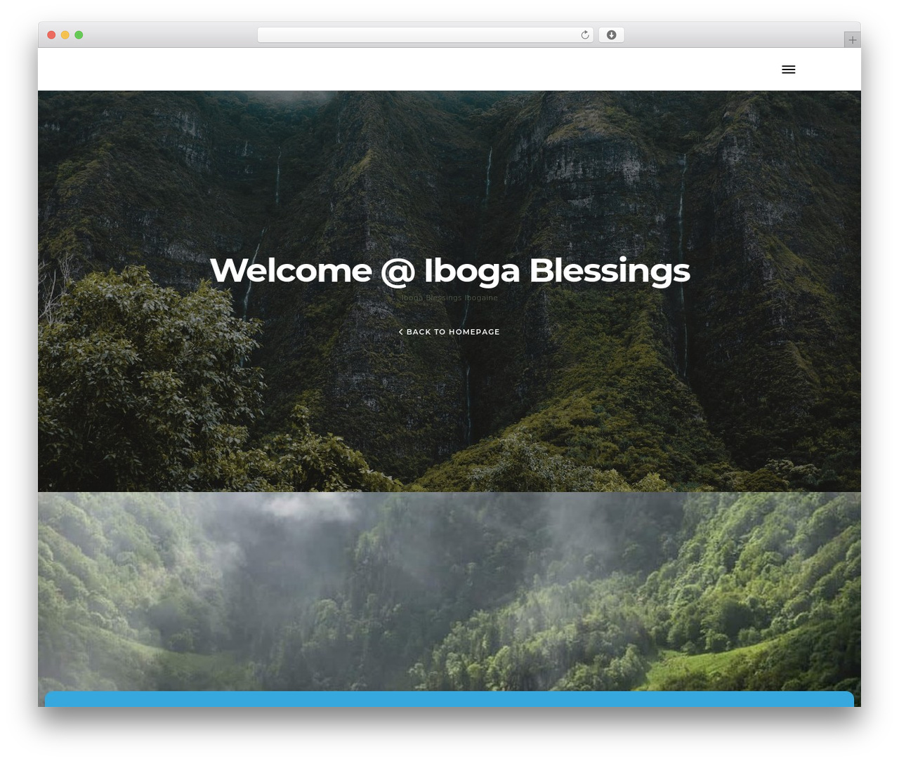 NT Forester premium WordPress theme - ibogablessings.com