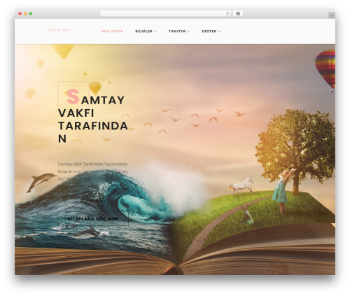 Odrin WordPress website theme - samtay.com