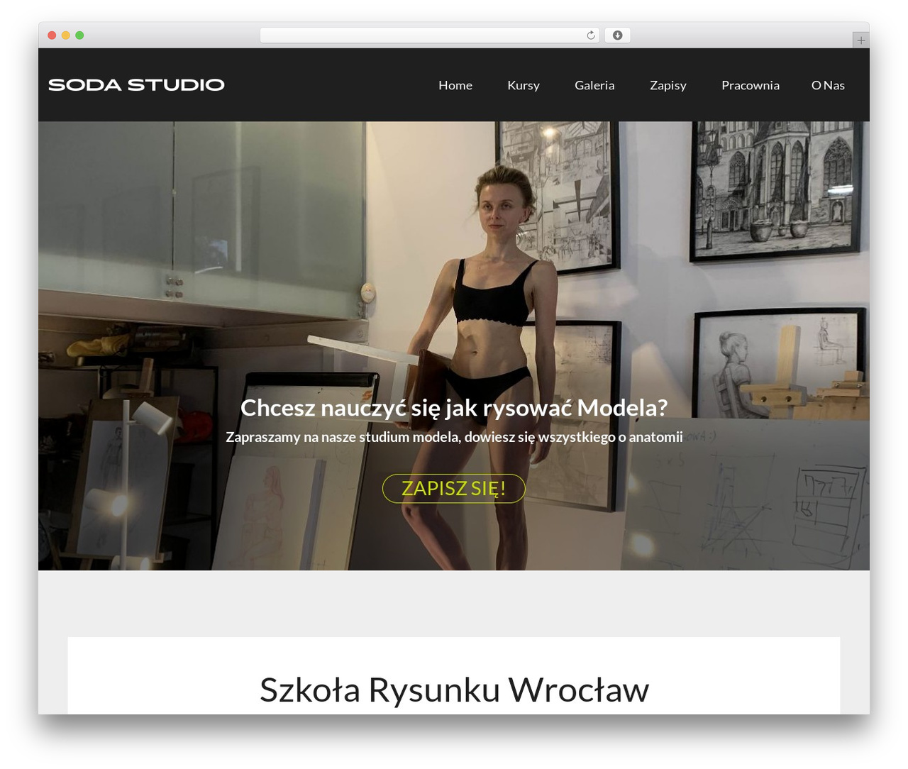 Opic WordPress website theme - studiosoda.pl