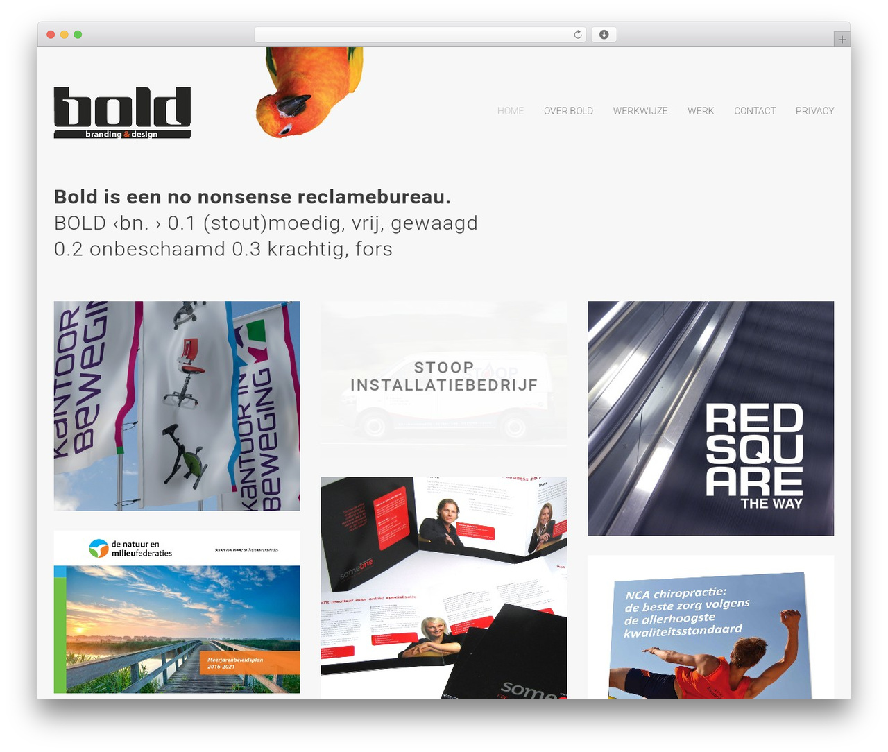 Proton WordPress theme - studiobold.nl