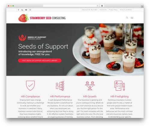 Salient top WordPress theme - strawberryseed.com.au