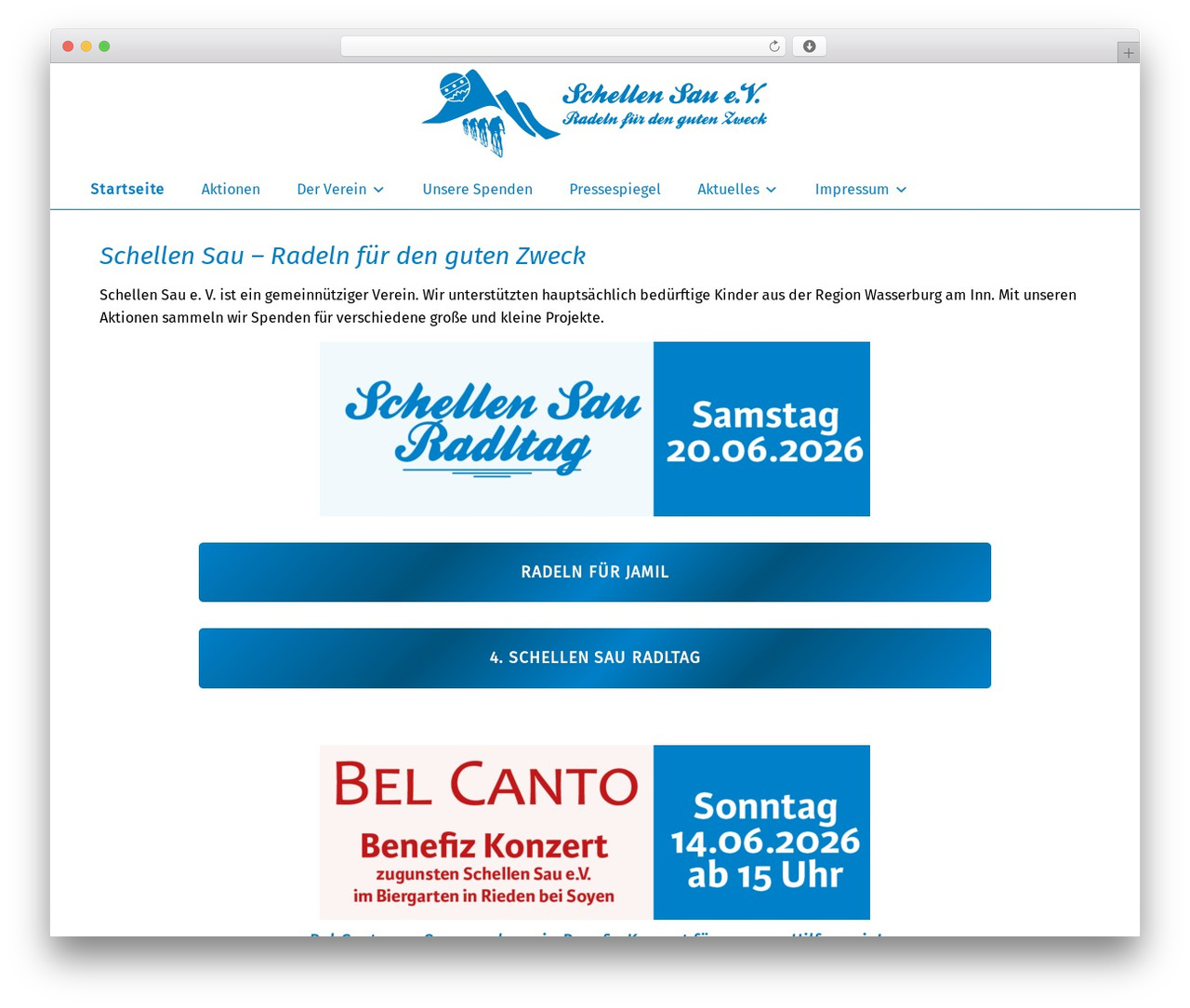SG Parent Theme WordPress website theme - schellen-sau.de