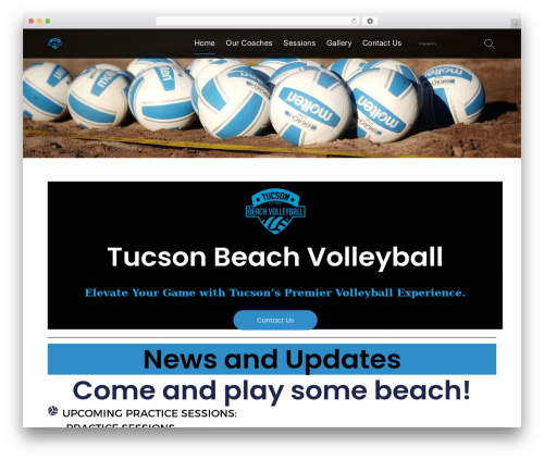 Services WordPress gaming theme - tucsonbeachvolleyball.com