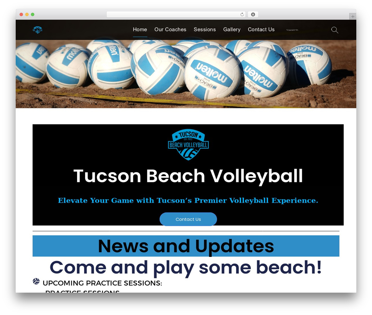 Services WordPress gaming theme - tucsonbeachvolleyball.com