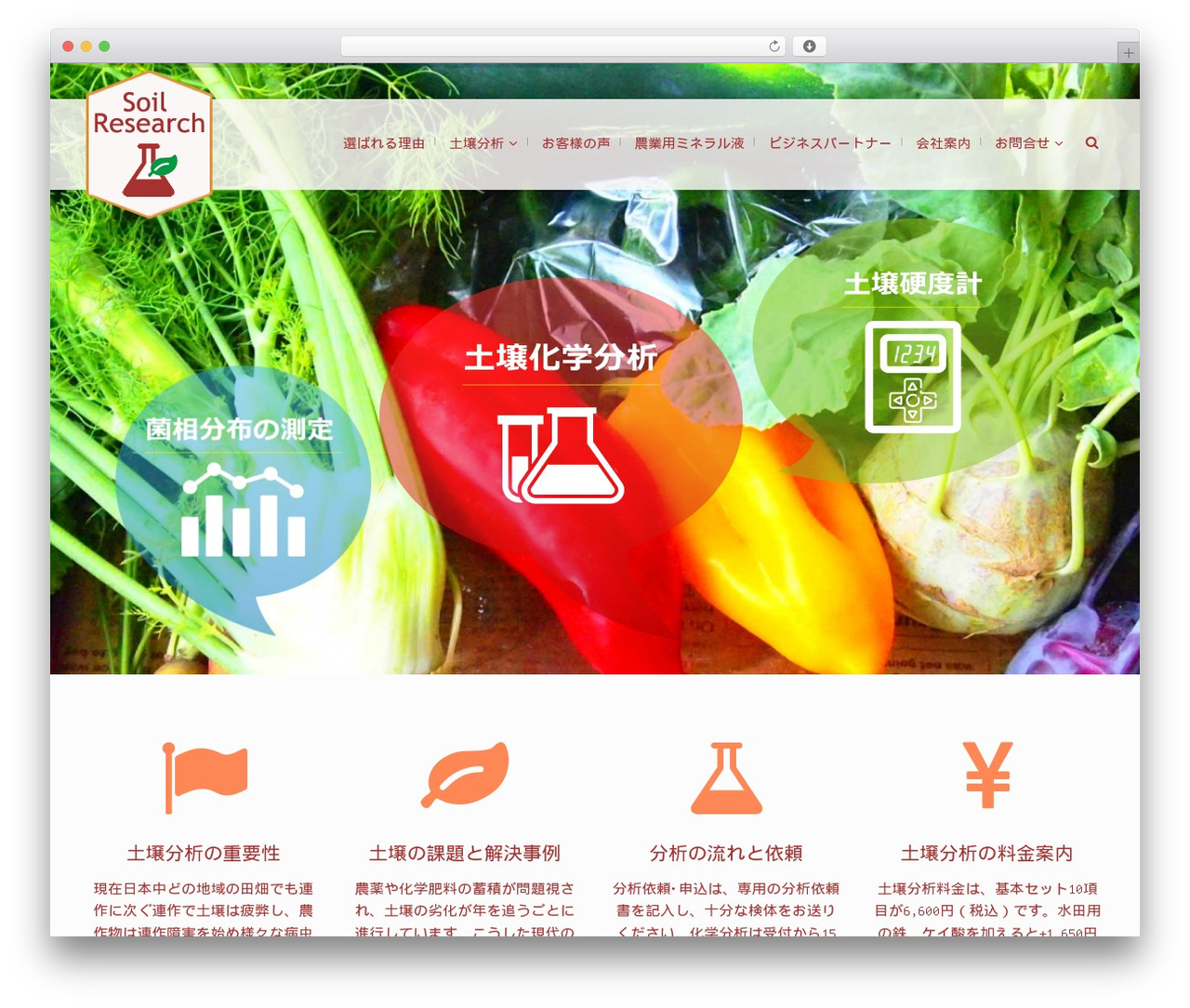 Theme WordPress kawada - soil-research.org Theme WordPress kawada - soil-research.org
