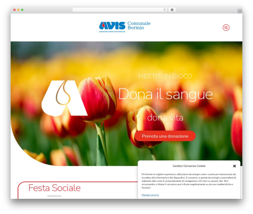 Themify Simple best WordPress theme - www.avisbormio.it