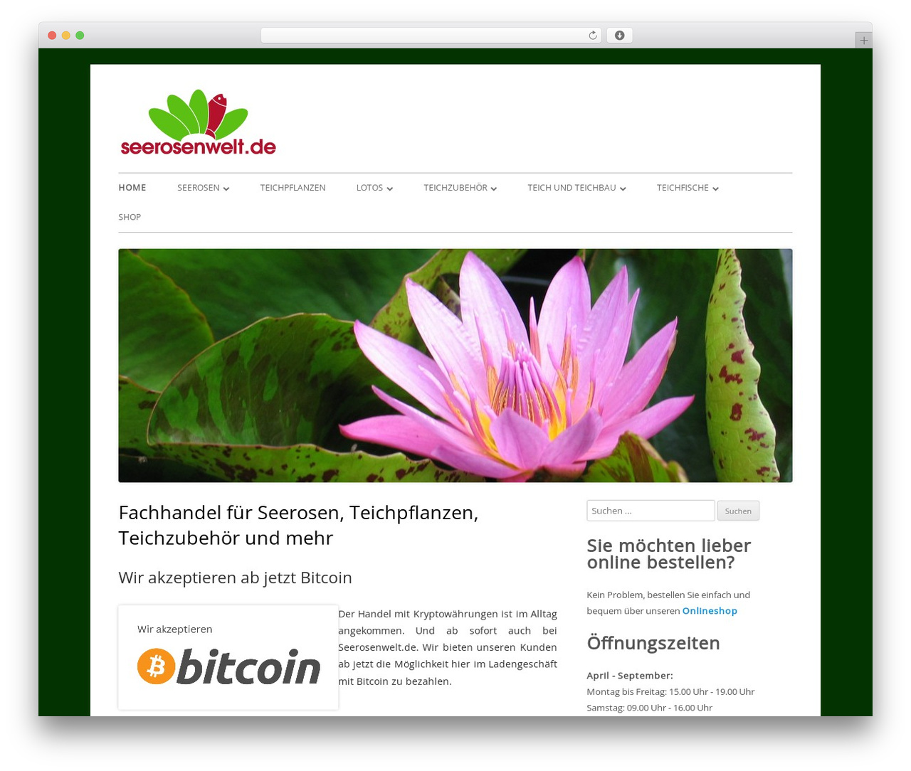 Tiny Forge theme WordPress - seerosenwelt.de Tiny Forge theme WordPress - seerosenwelt.de