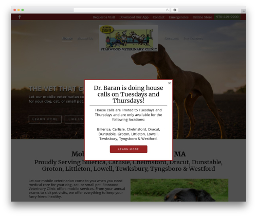 Vizisites WordPress theme - starwoodvetclinic.com