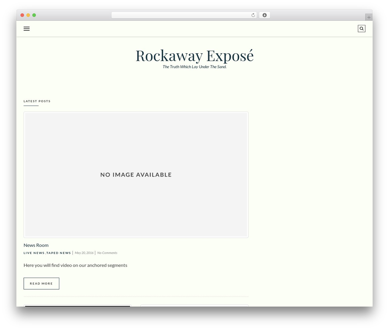 WordPress theme BlogIM - rockawayexpose.com