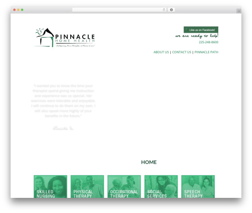 Screenreader WordPress plugin - pinnaclehh.com