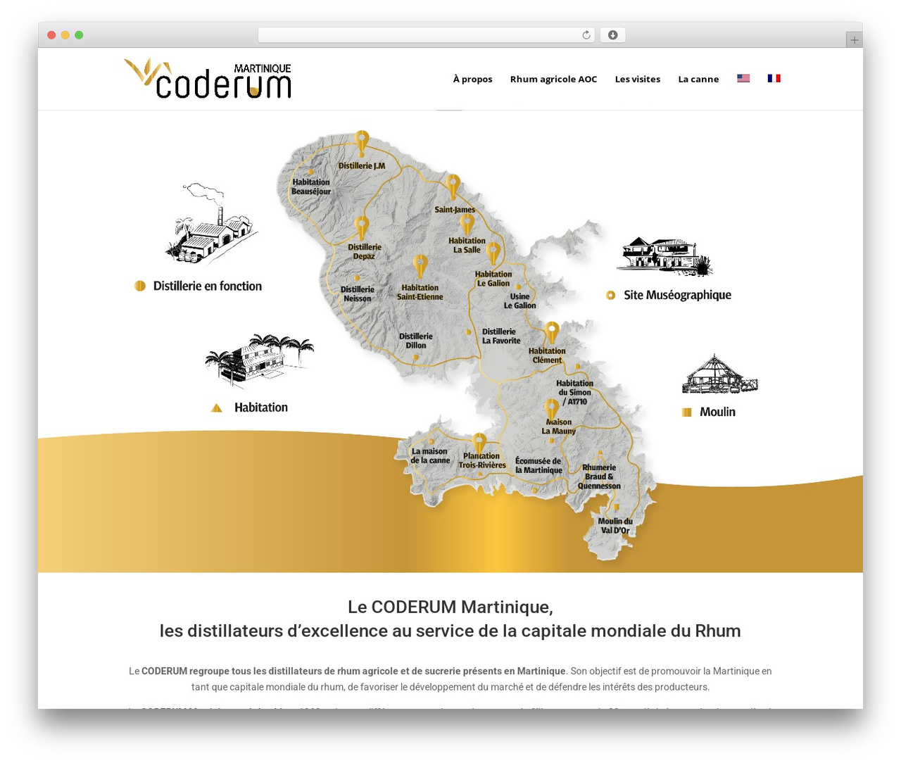 WordPress theme Divi - coderum-martinique.com