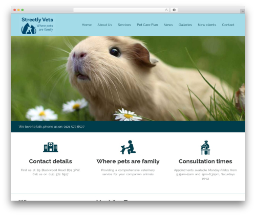 Vets features WordPress plugin - streetlyvets.co.uk