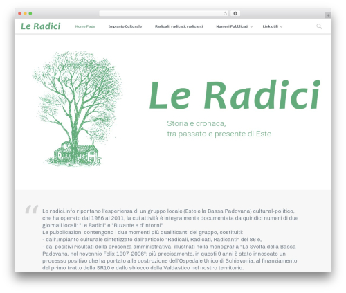 WordPress website theme Whitelabel - leradici.info