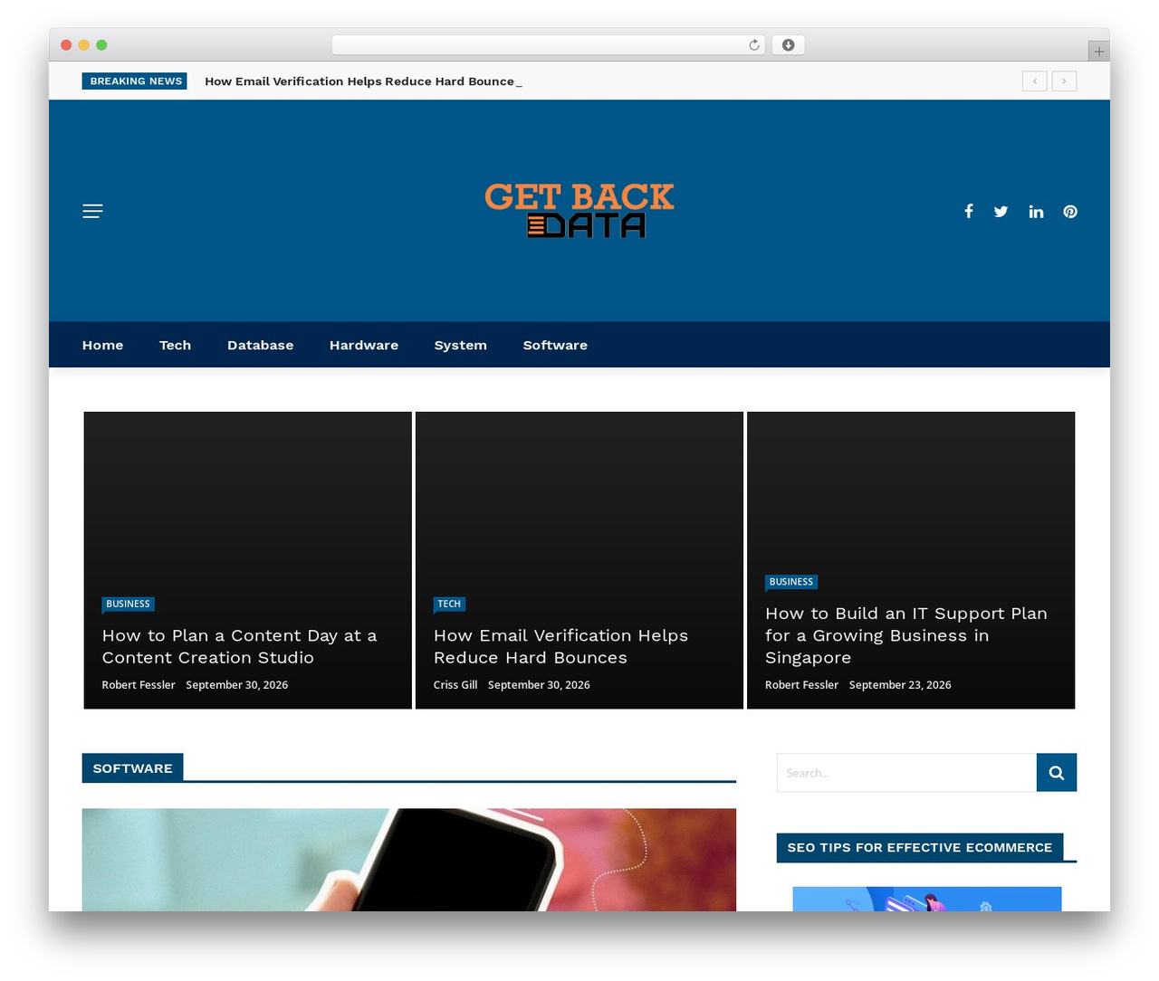 WP theme Rubik - getbackdata.net