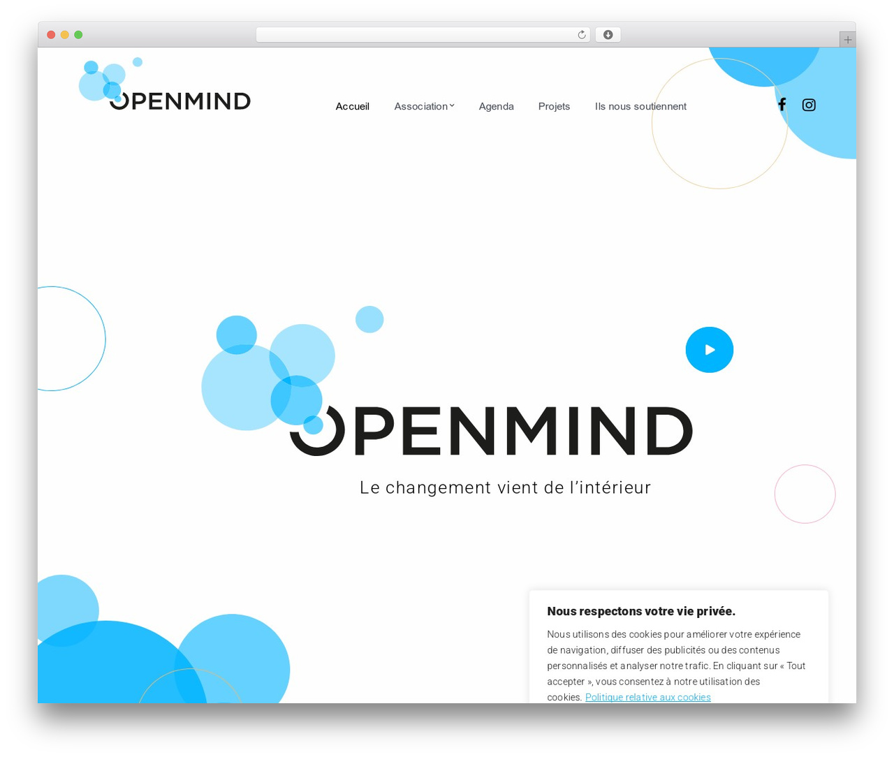 WP theme EasyQuickSite - o-mind.org WP theme EasyQuickSite - o-mind.org